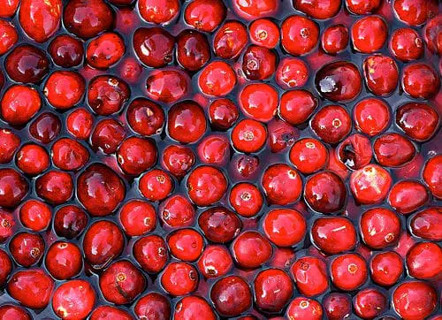 Cranberries, also known as cranberries