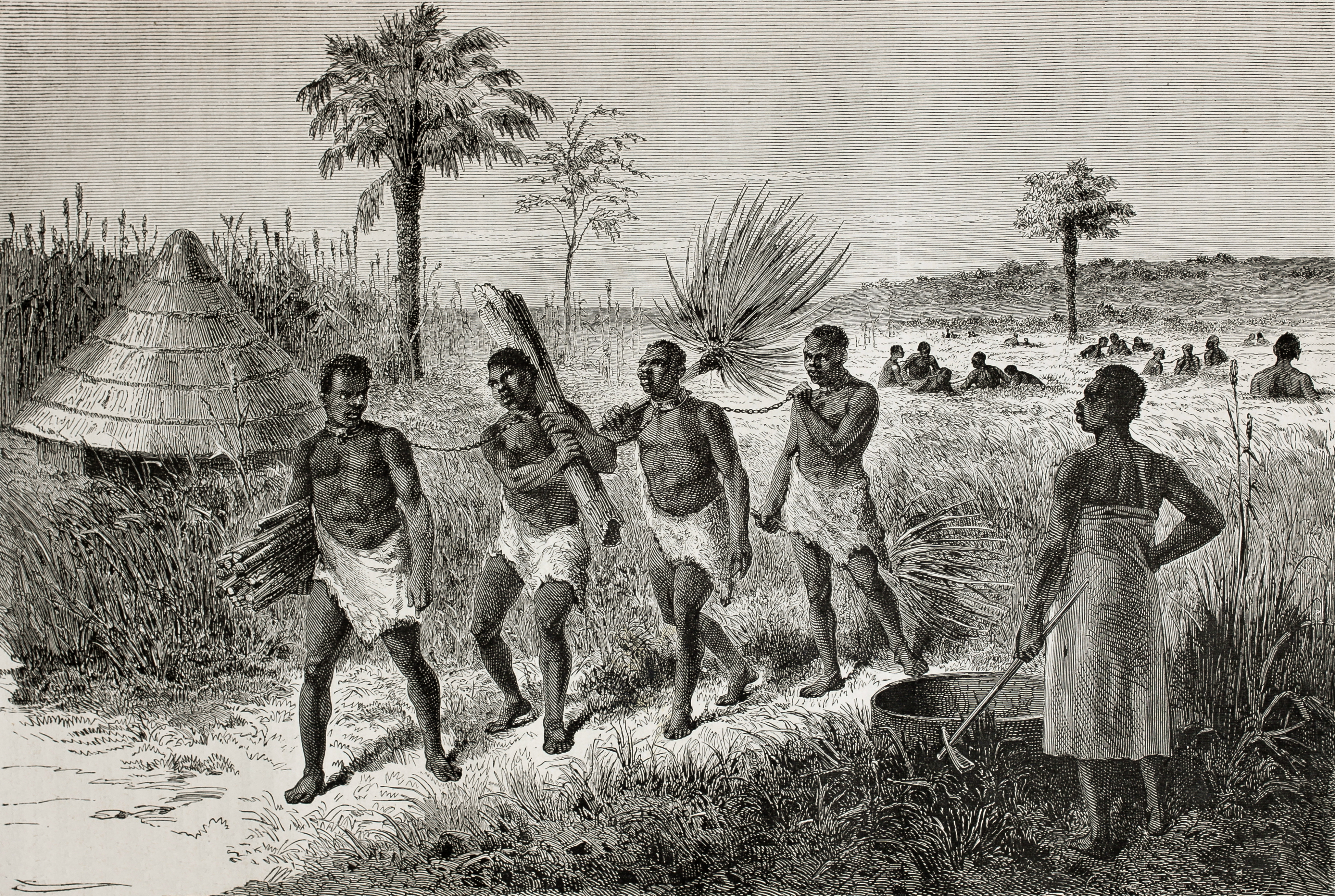 The history of slavery