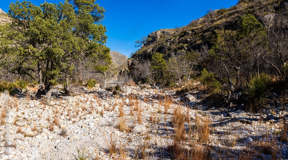 McKittrick Canyon